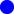 Pharmacokinetics and biosafety evaluation of a veterinary drug florfenicol in rainbow trout, Oncorhynchus mykiss (Walbaum 1792) as a model cultivable fish species in temperate water